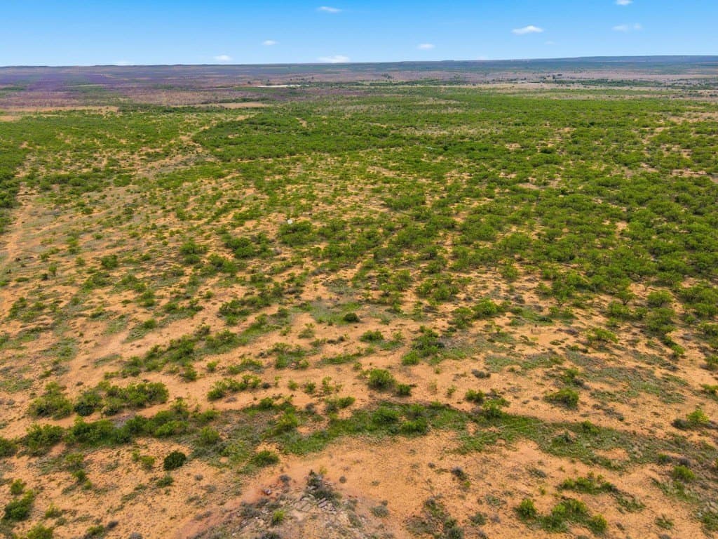 79.5 acres in Fisher County - photo 17