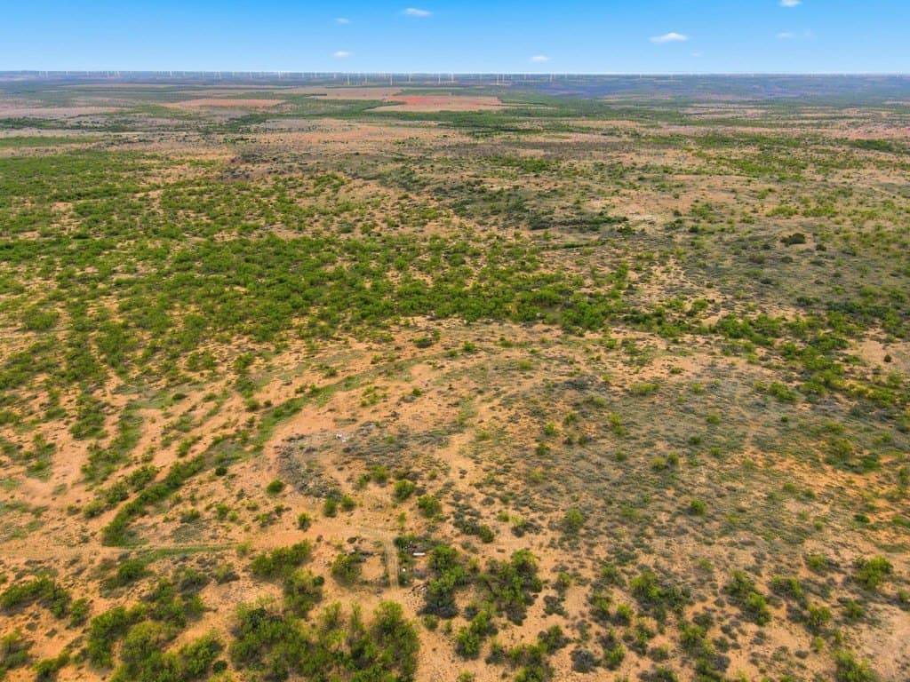 79.5 acres in Fisher County gallery image 3