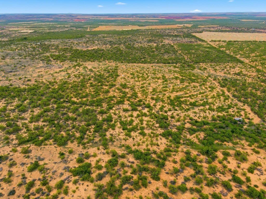79.5 acres in Fisher County - photo 9