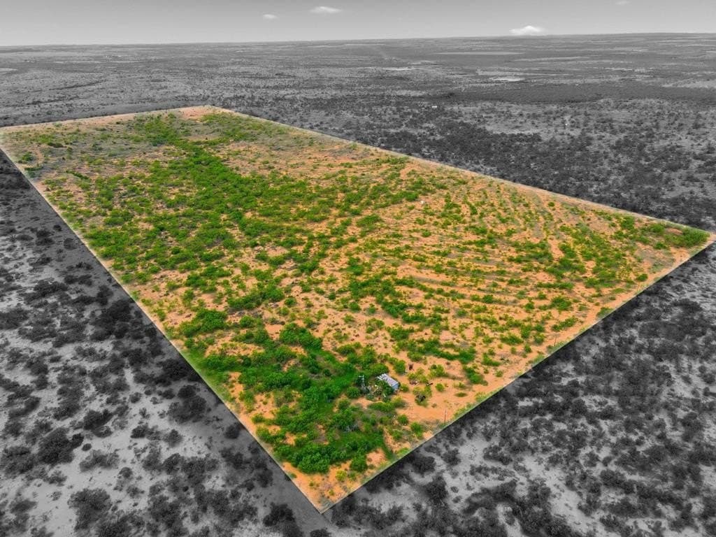 79.5 acres in Fisher County