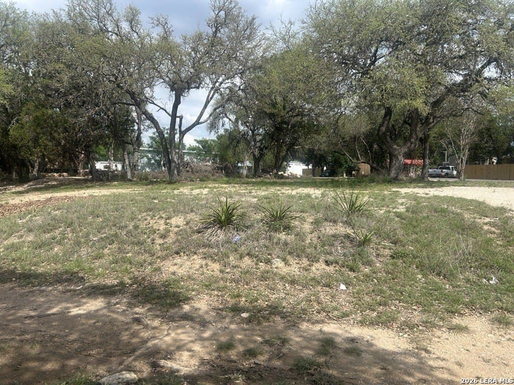 0.57 acres in Comal County gallery image 2