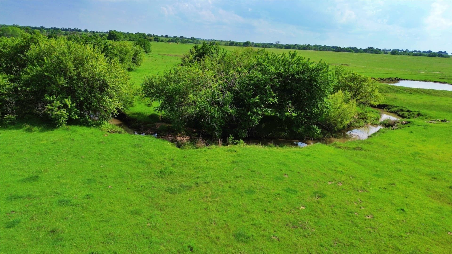 115.27 acres in Cooke County gallery image 2