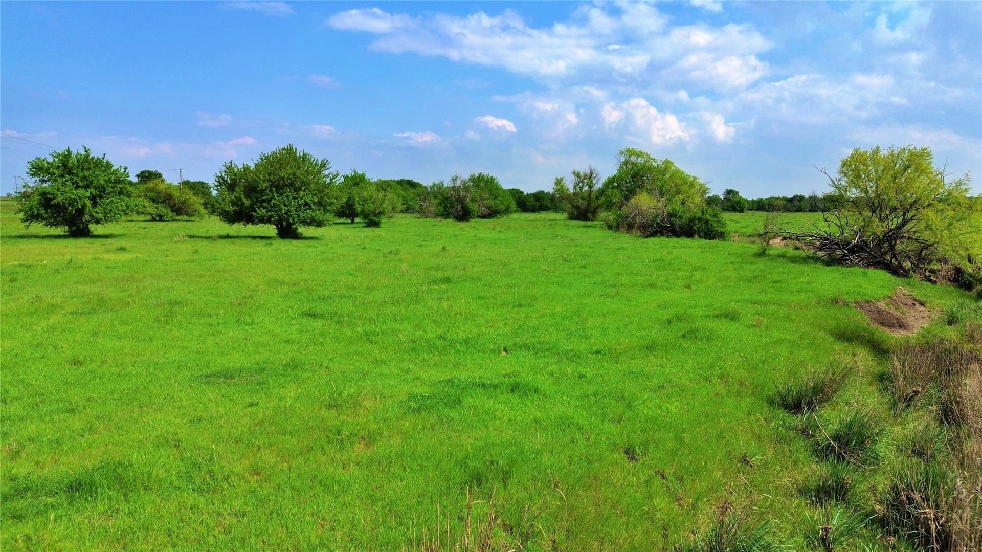 115.27 acres in Cooke County - photo 23