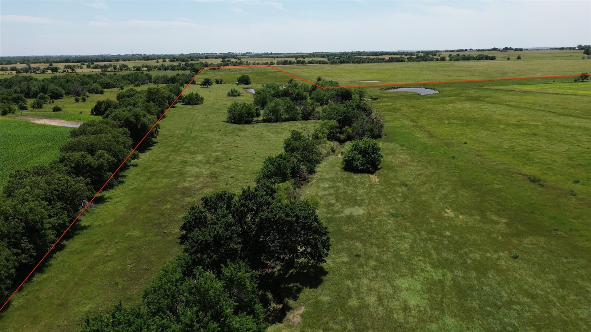 115.27 acres in Cooke County gallery image 4