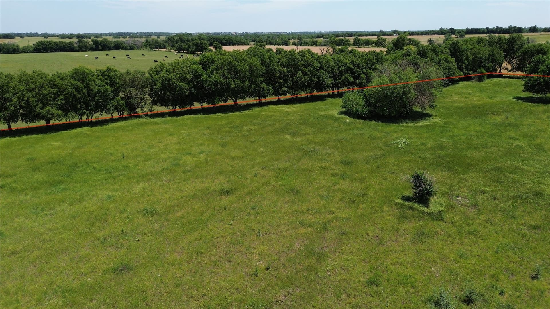 115.27 acres in Cooke County - photo 6