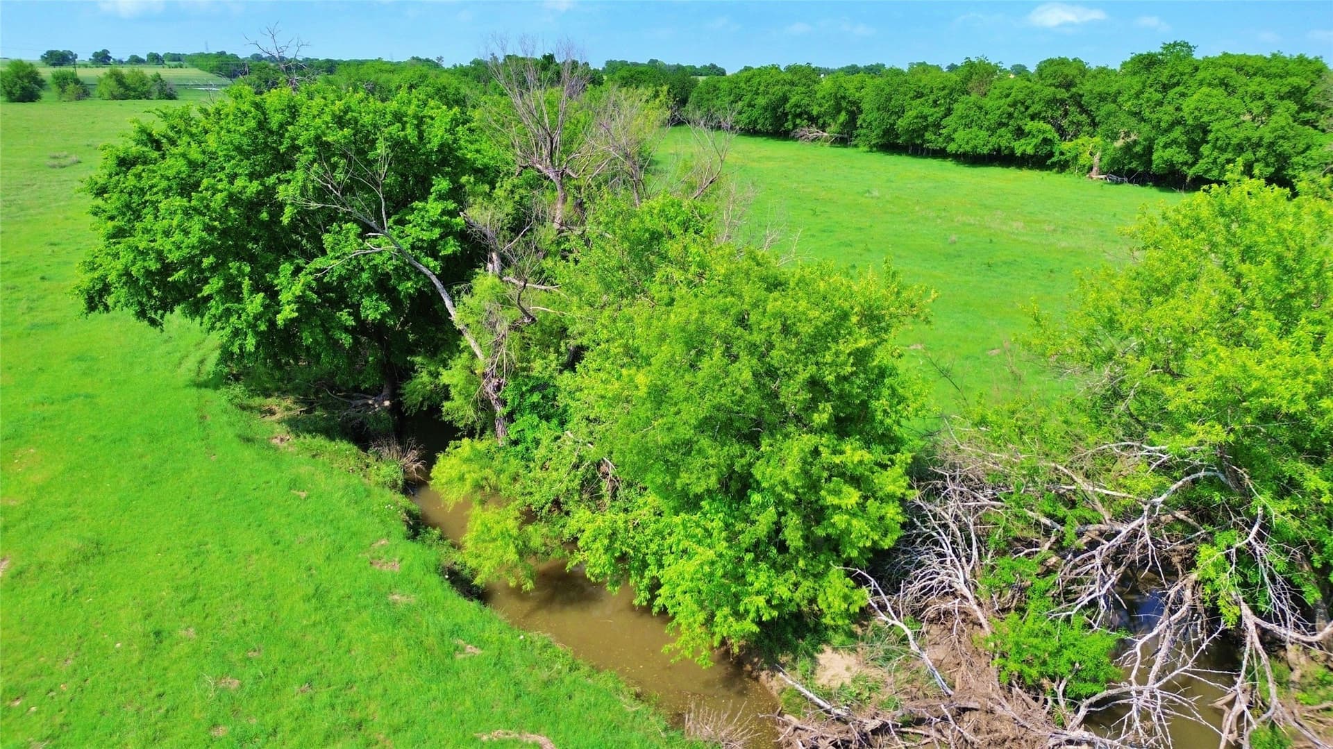 115.27 acres in Cooke County gallery image 3