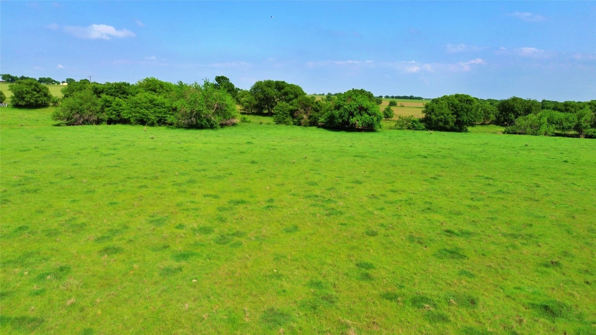 115.27 acres in Cooke County - photo 21