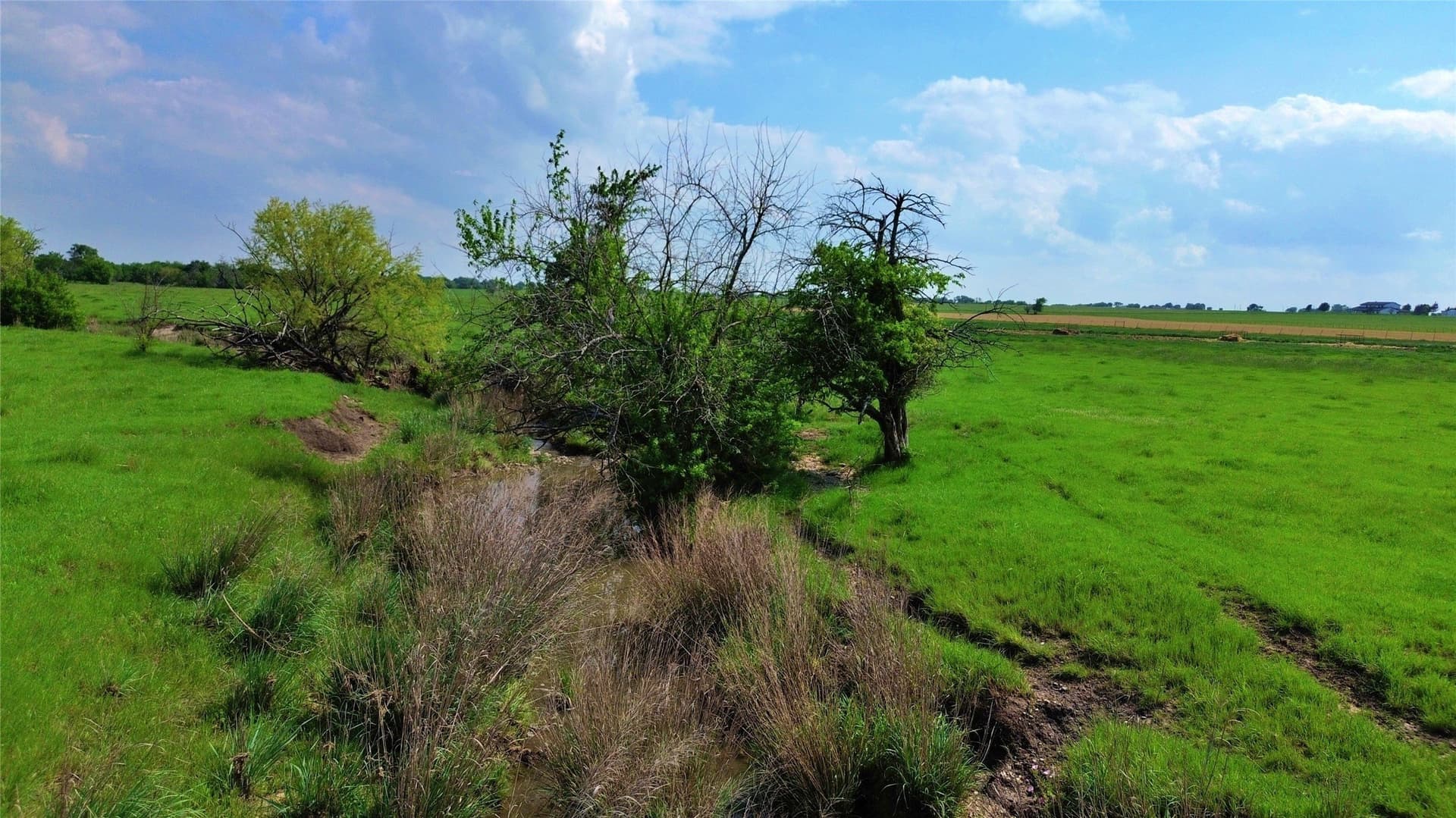 115.27 acres in Cooke County - photo 24
