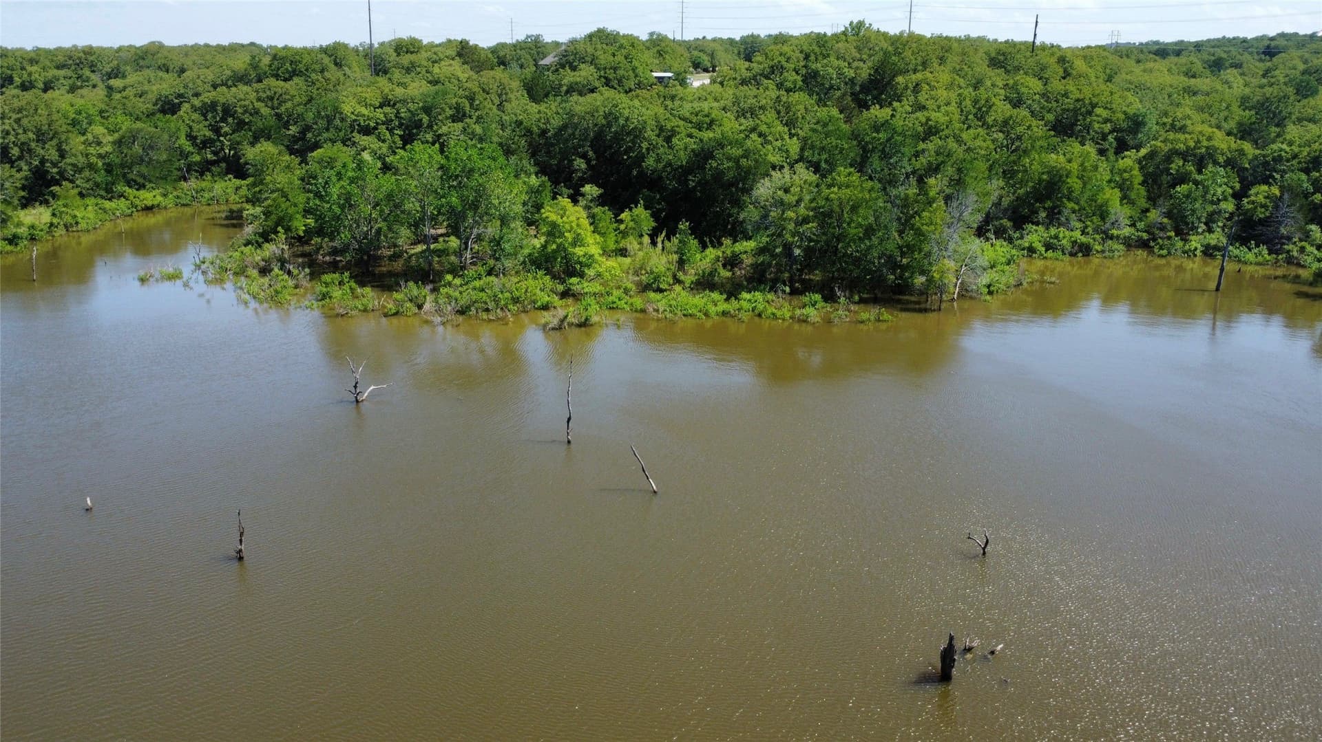 2.75 acres in Montague County gallery image 4