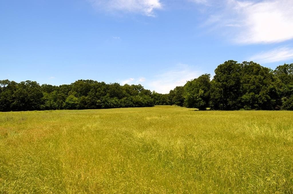 93.53 acres in Henderson County