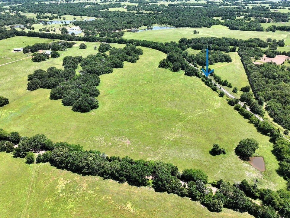 93.53 acres in Henderson County gallery image 2