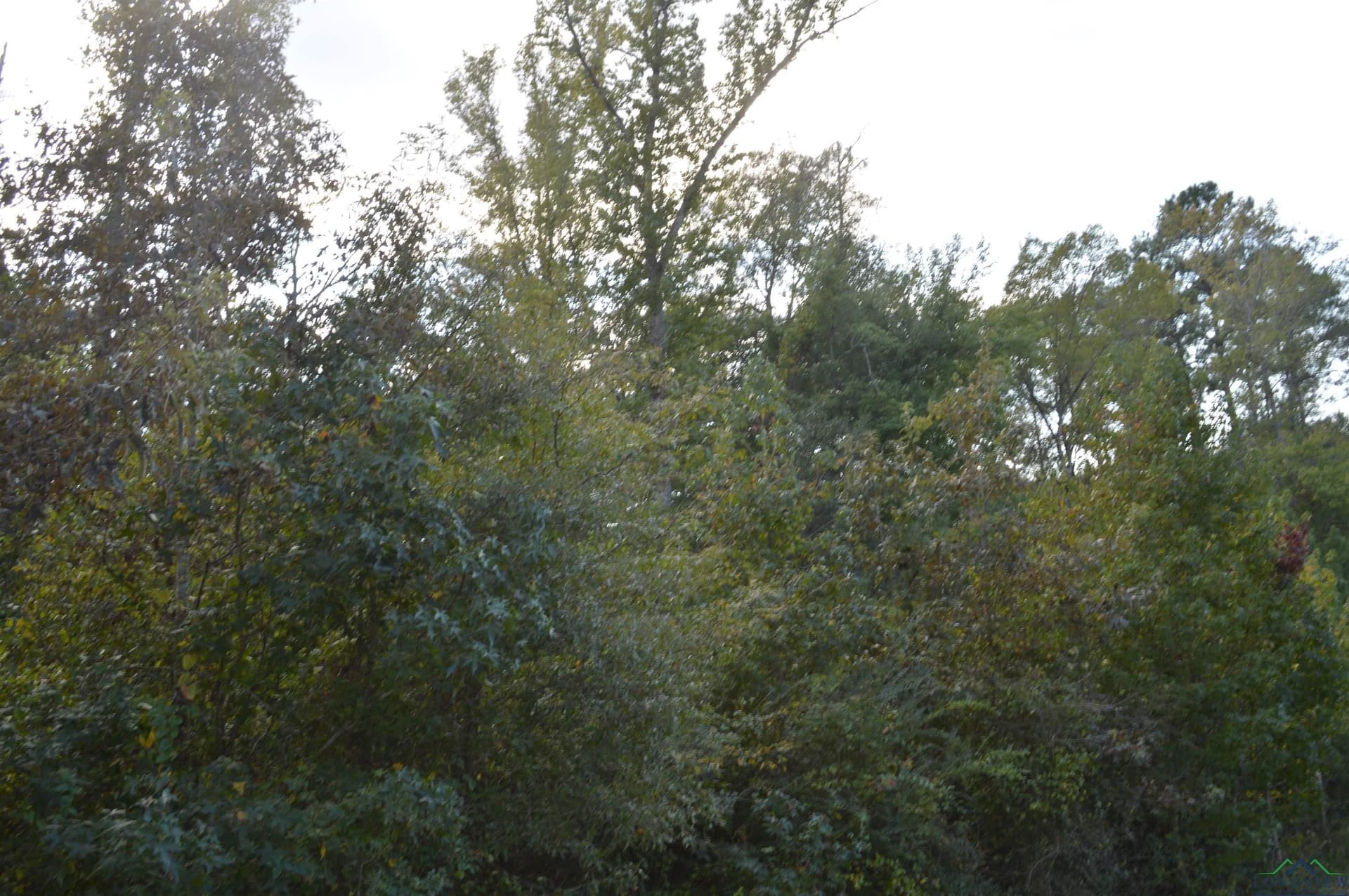 6 acres in Texas County