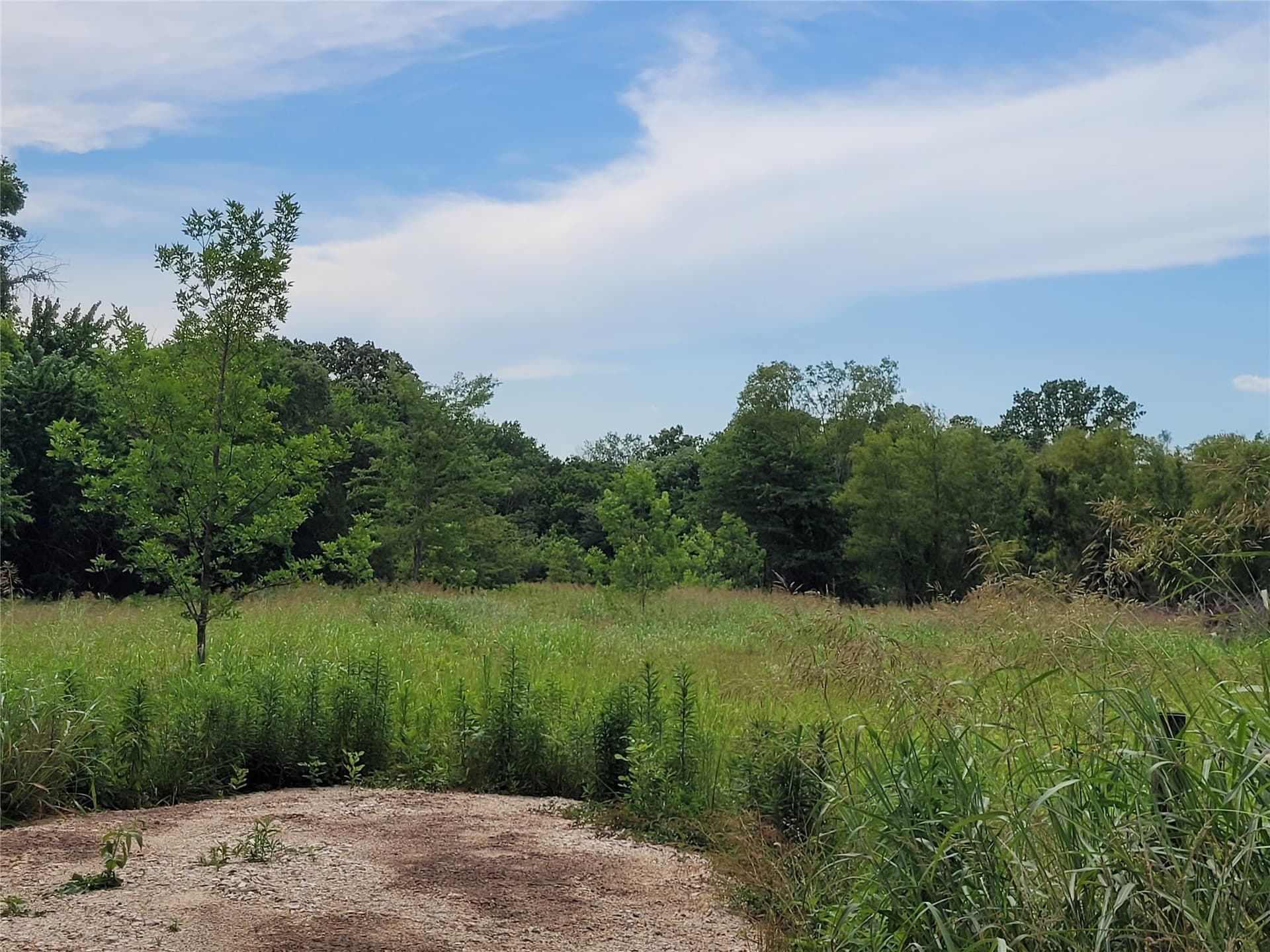 11.2 acres in Red River (TX) County gallery image 3