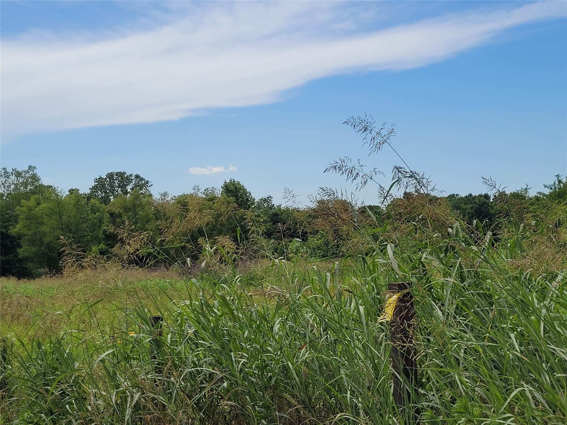 11.2 acres in Red River (TX) County gallery image 2