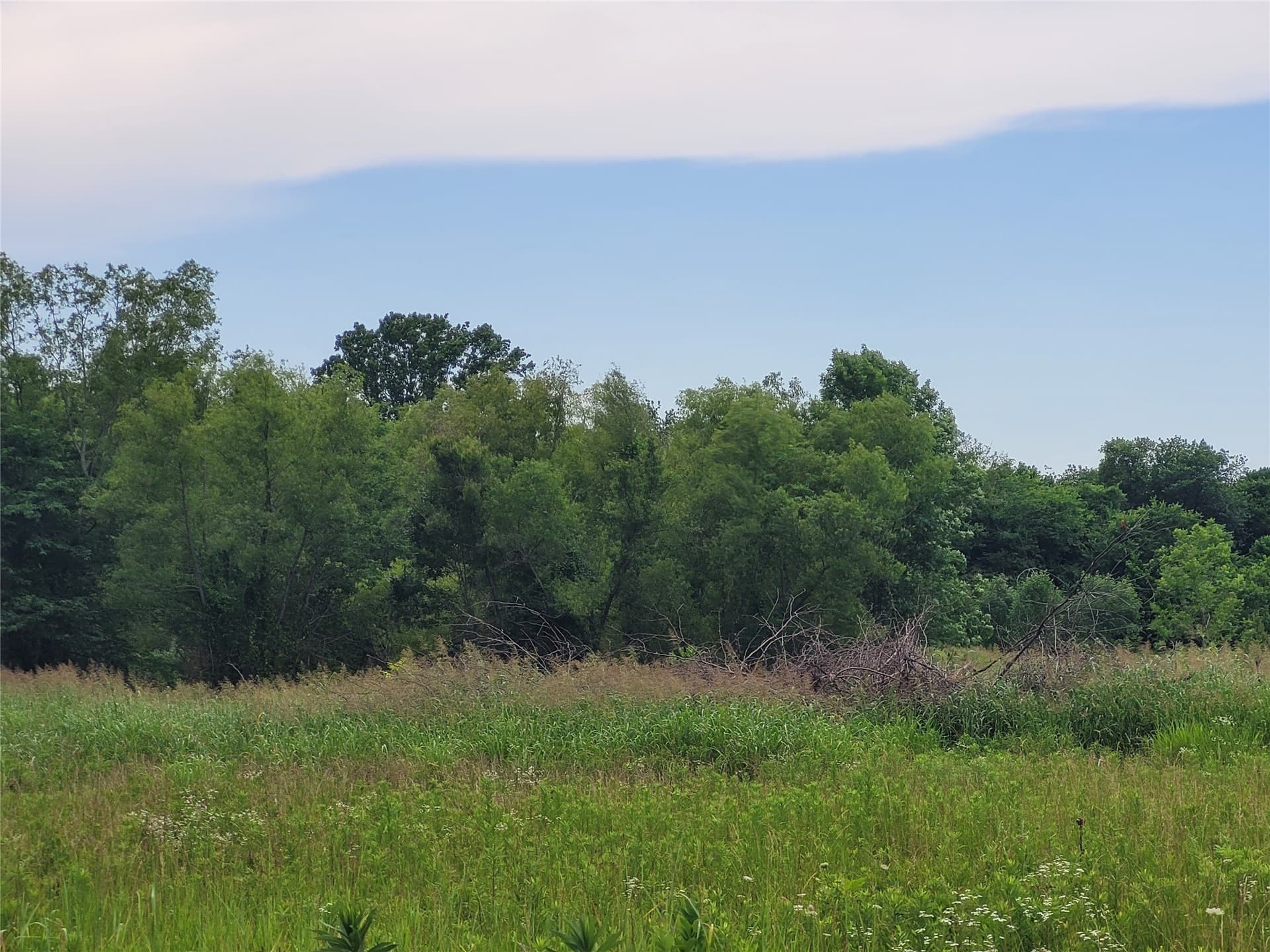 11.2 acres in Red River (TX) County gallery image 4