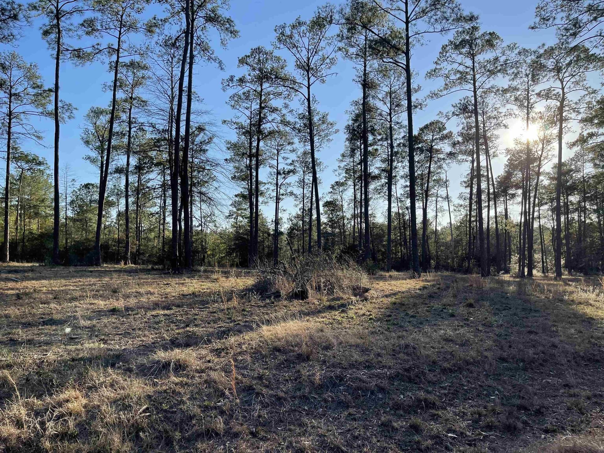 1 acres in Texas County featured view
