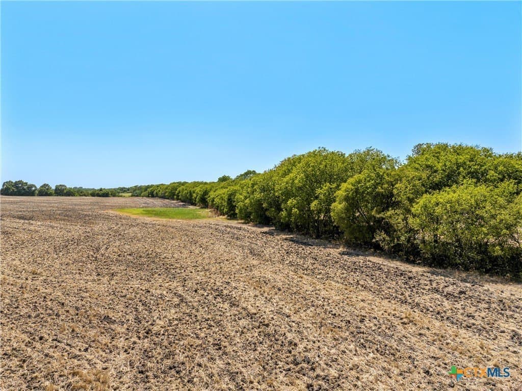 12.5 acres in McLennan County gallery image 4