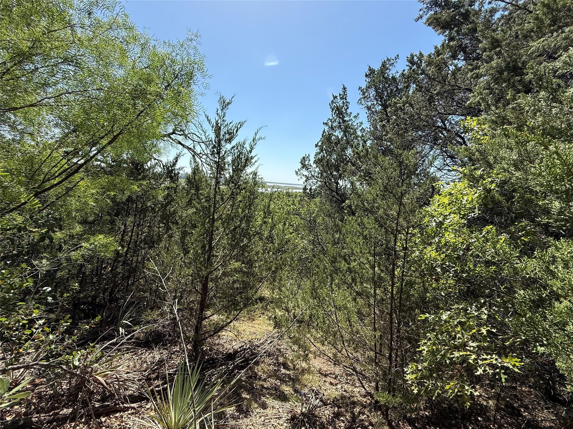 0.13 acres in Hood County - photo 5