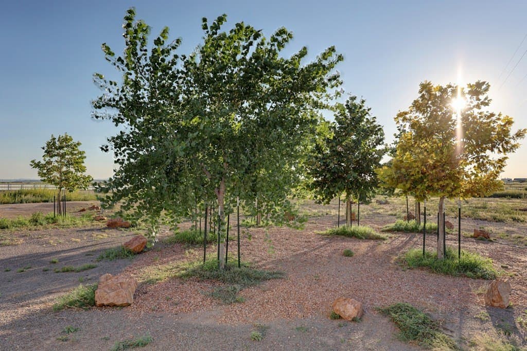 10 acres in Presidio County - photo 46