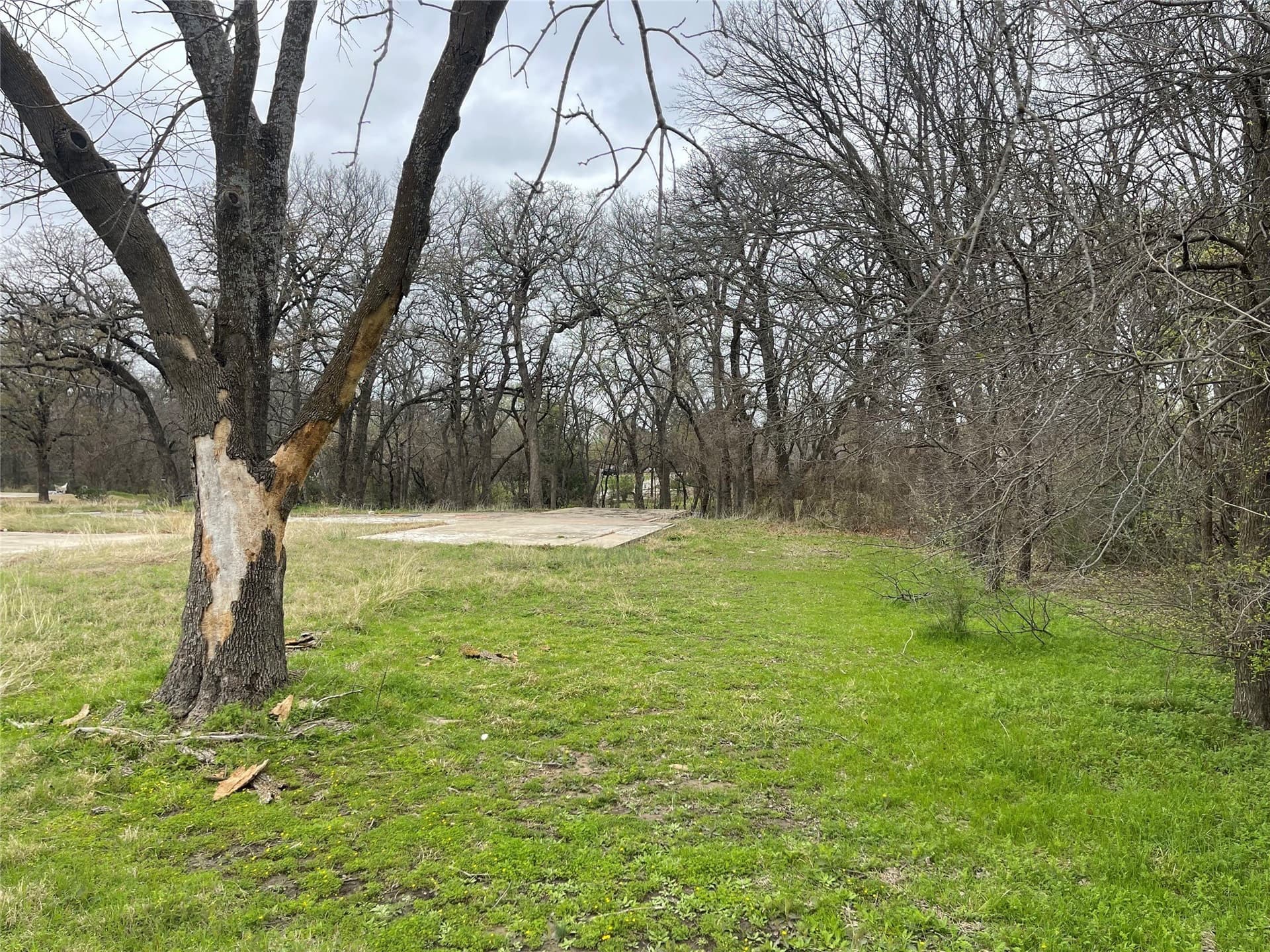 0.35 acres in Denton County - photo 8
