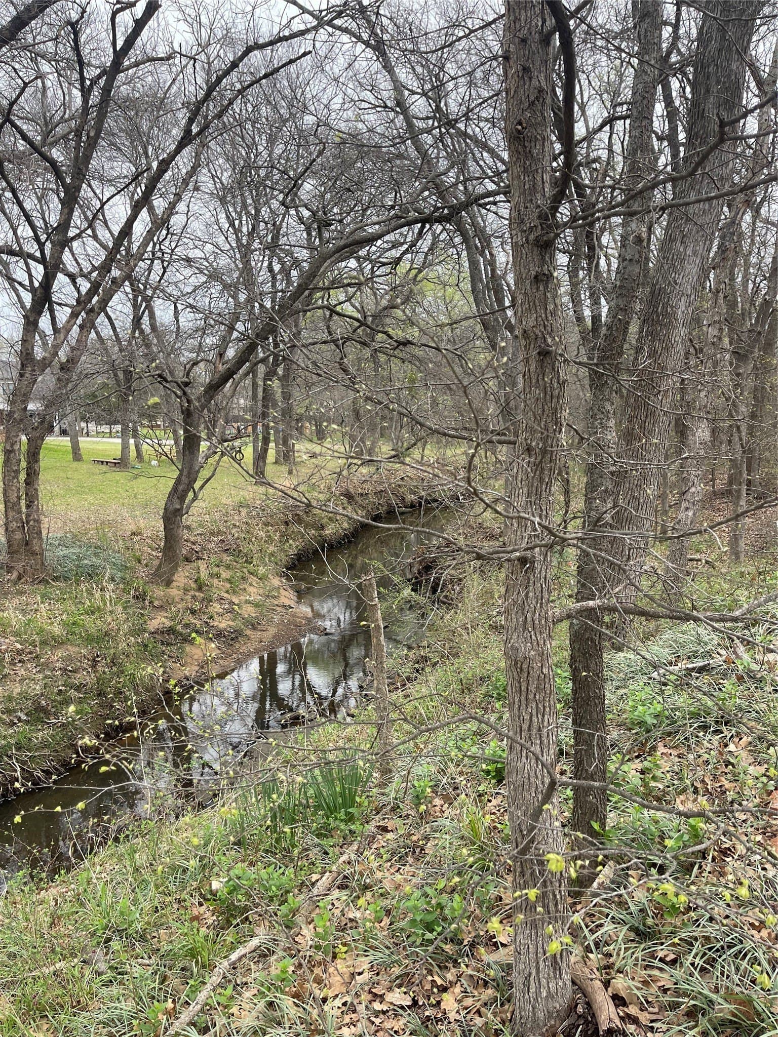 0.35 acres in Denton County featured view
