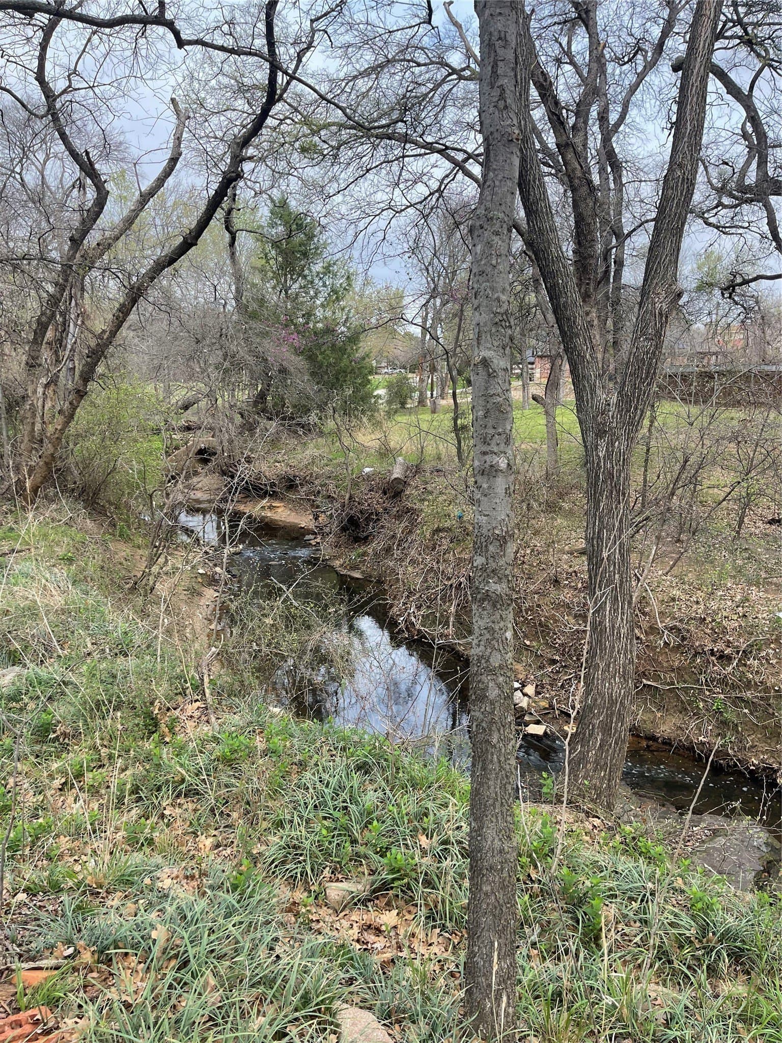 0.35 acres in Denton County gallery image 4