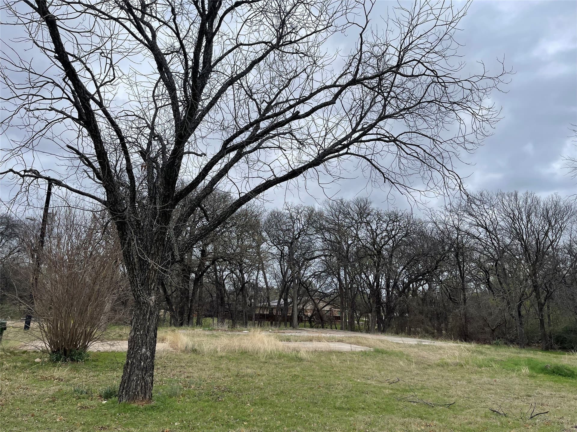 0.35 acres in Denton County gallery image 3