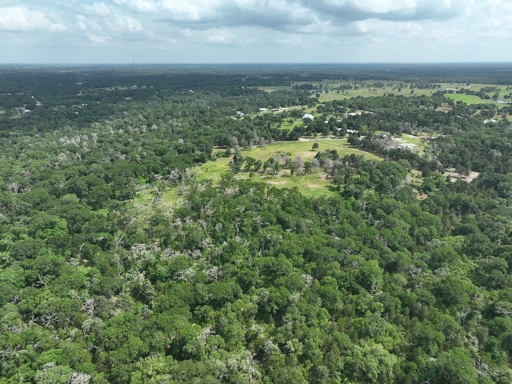 22.35 acres in Austin County - photo 13