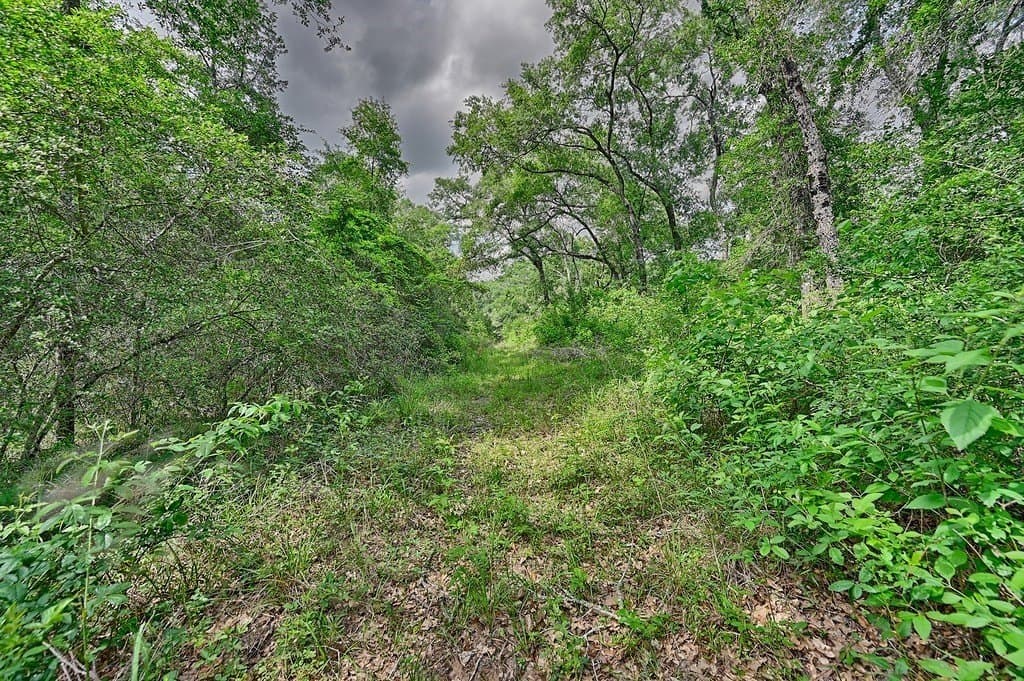 22.35 acres in Austin County - photo 8
