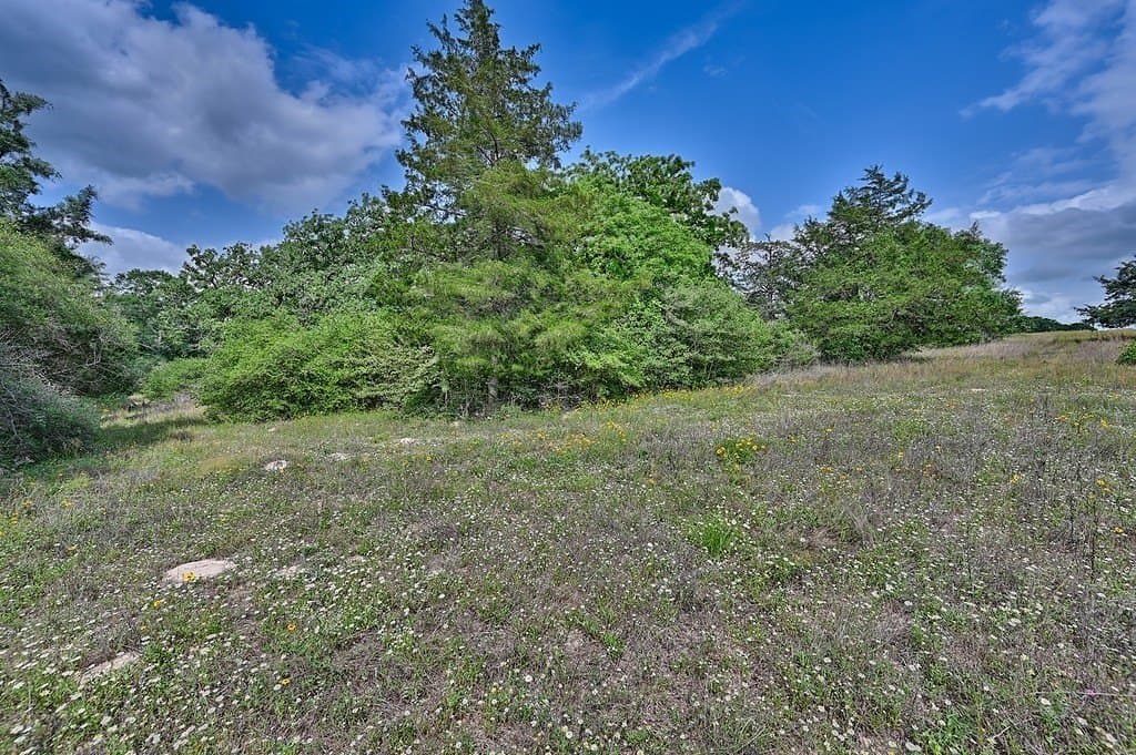 22.35 acres in Austin County - photo 7