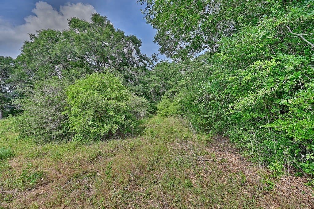 22.35 acres in Austin County - photo 9