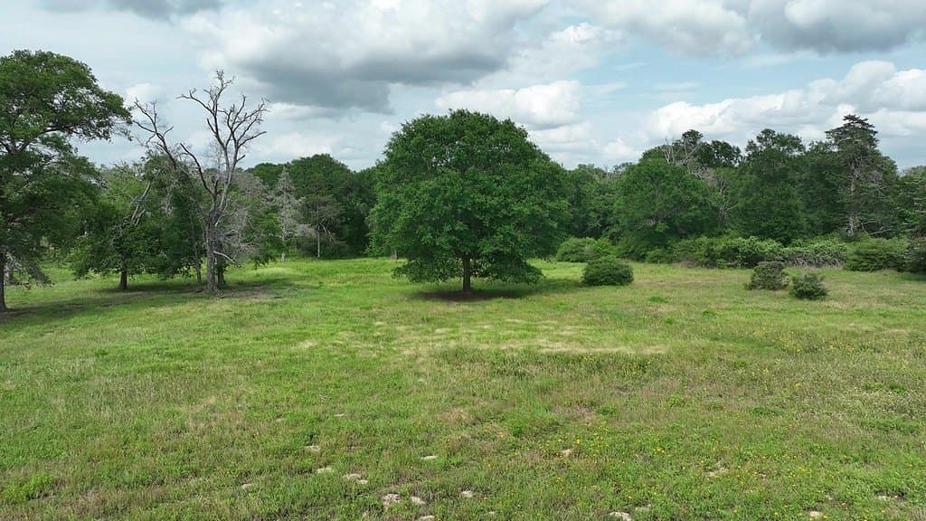 22.35 acres in Austin County - photo 11