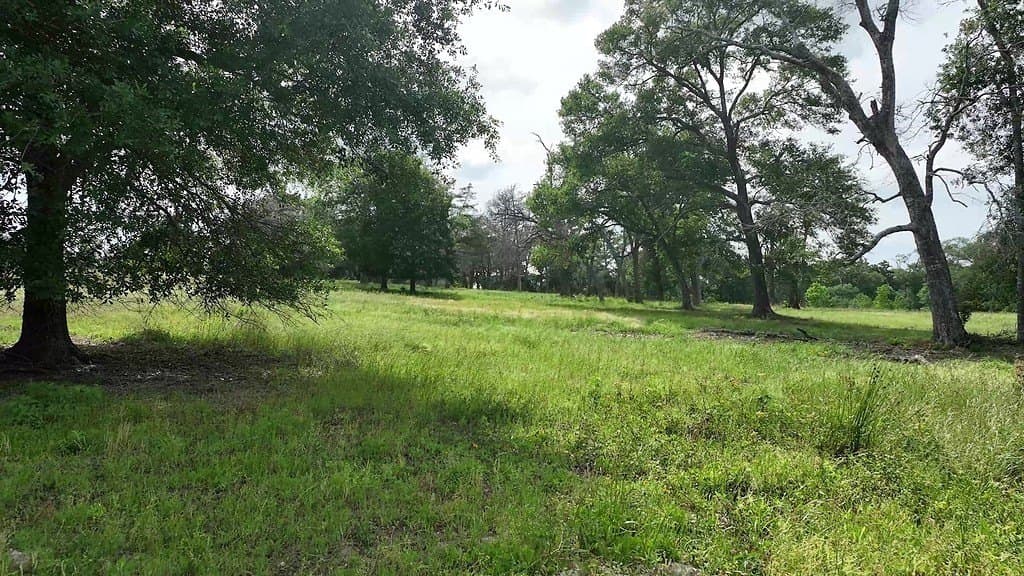 22.35 acres in Austin County - photo 10