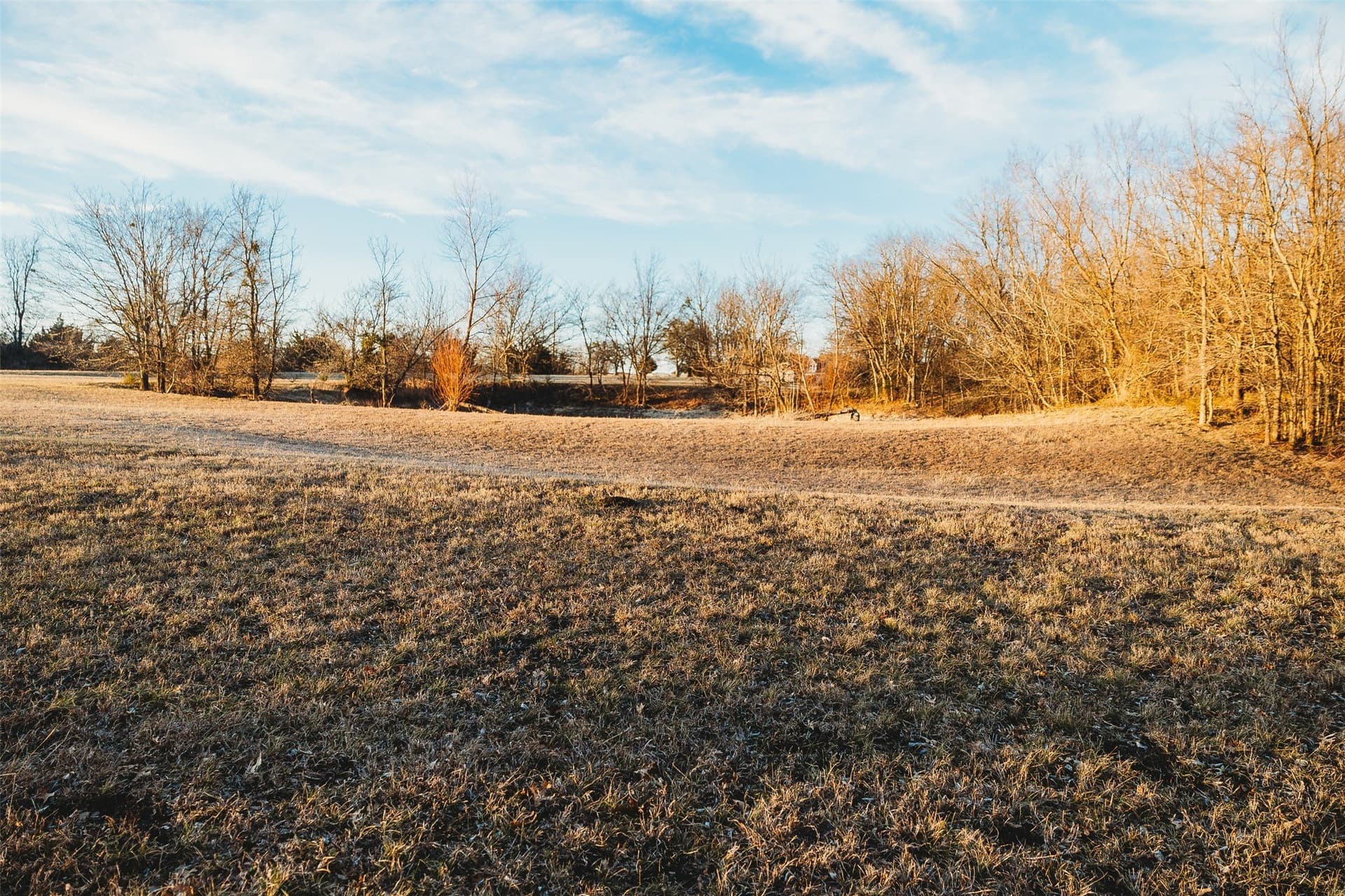 13.3 acres in Grayson County - photo 28