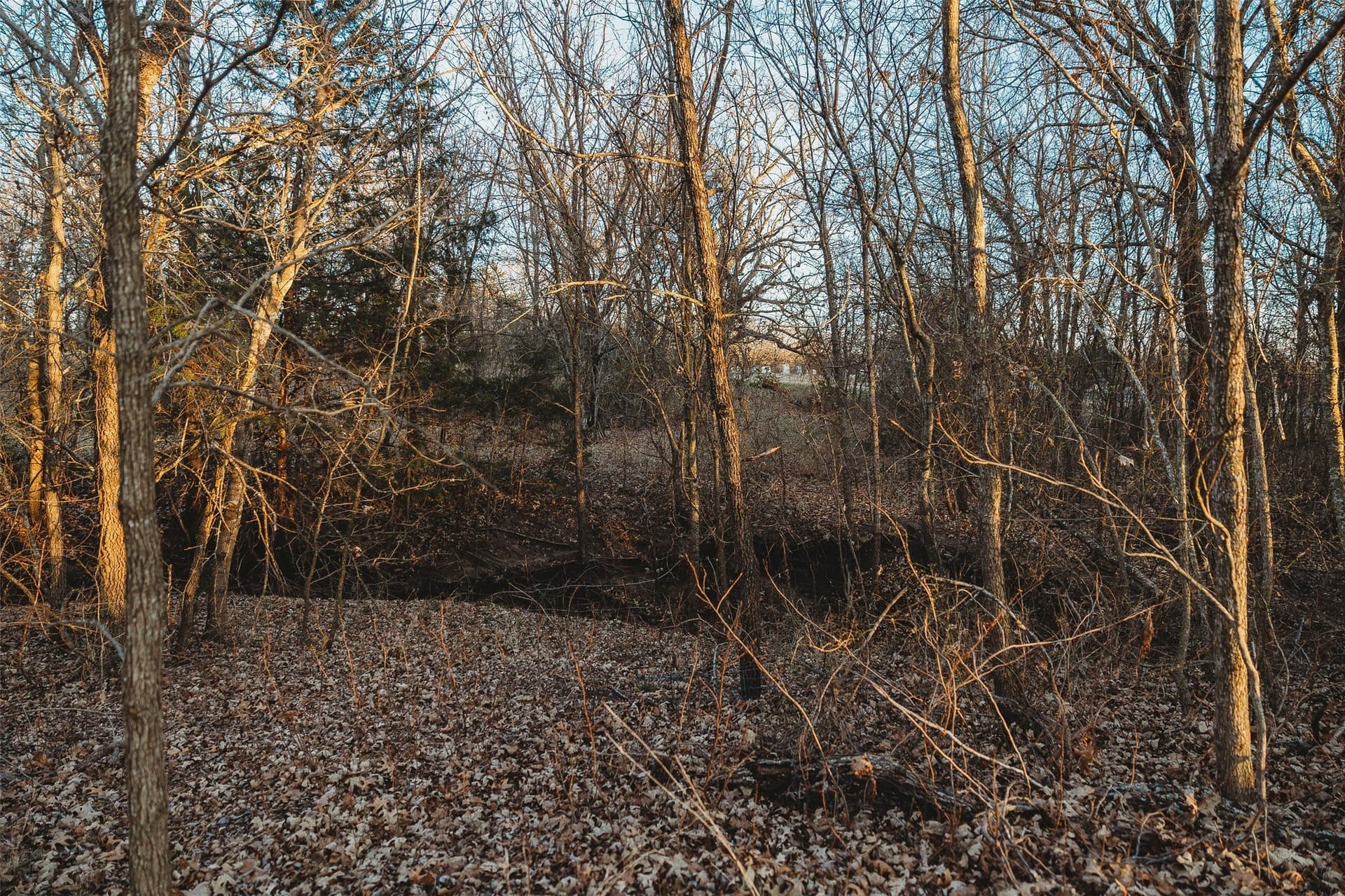 13.3 acres in Grayson County - photo 12