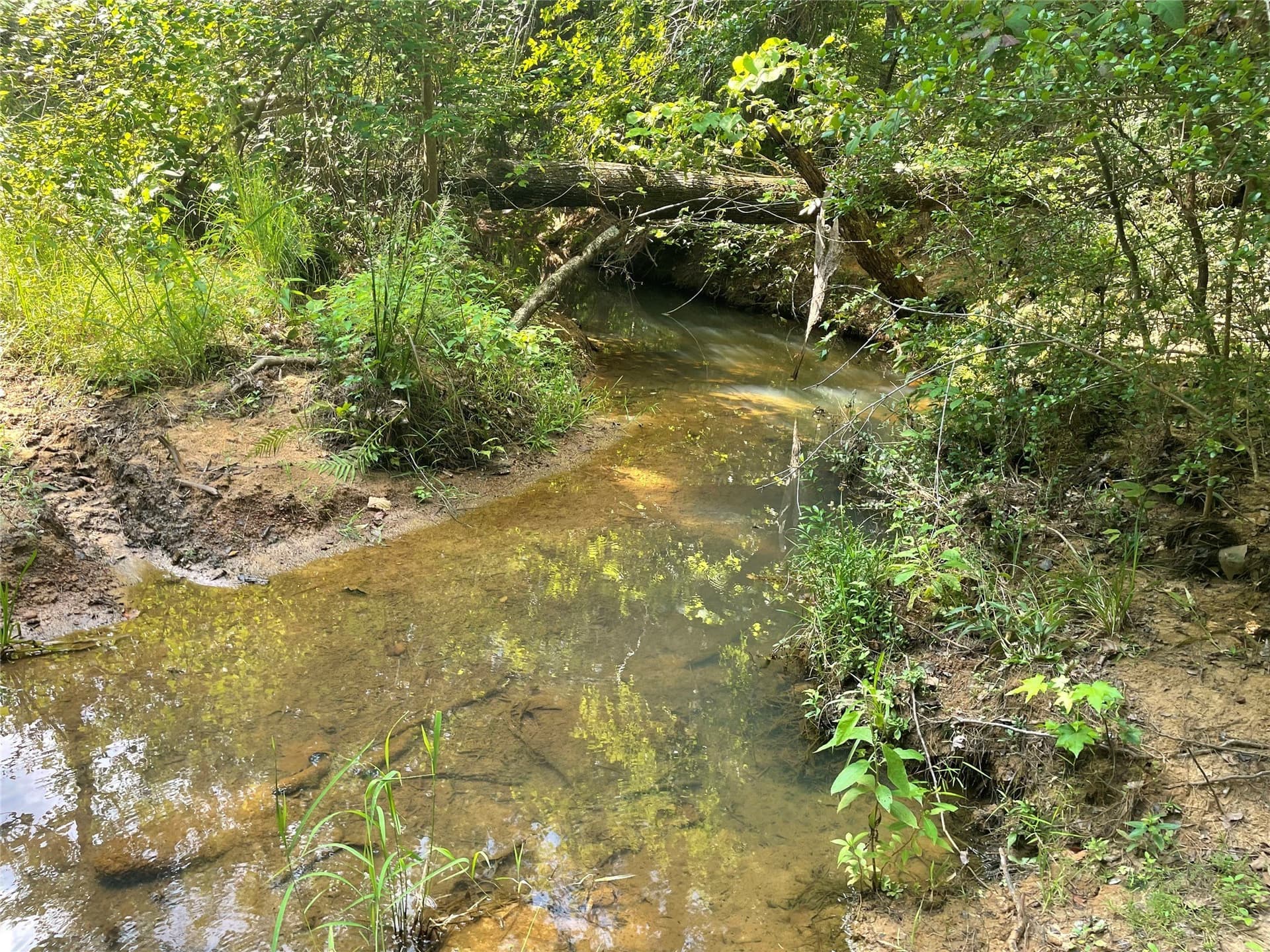 83.65 acres in Anderson County - photo 12