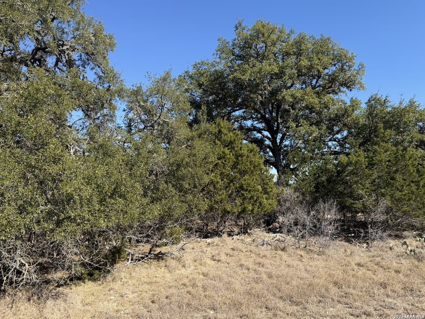 2.01 acres in Bandera County - photo 8