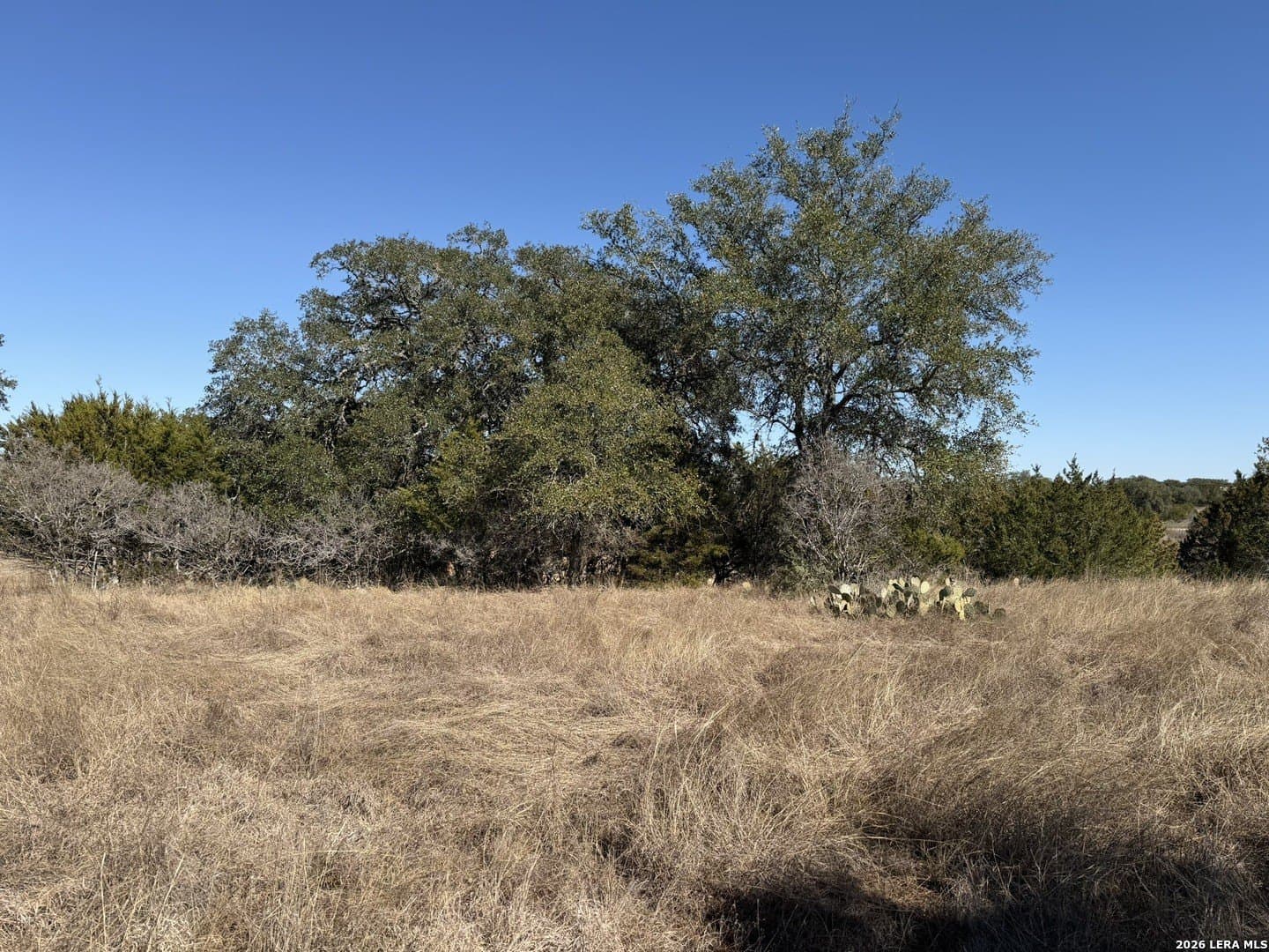 2.01 acres in Bandera County gallery image 2