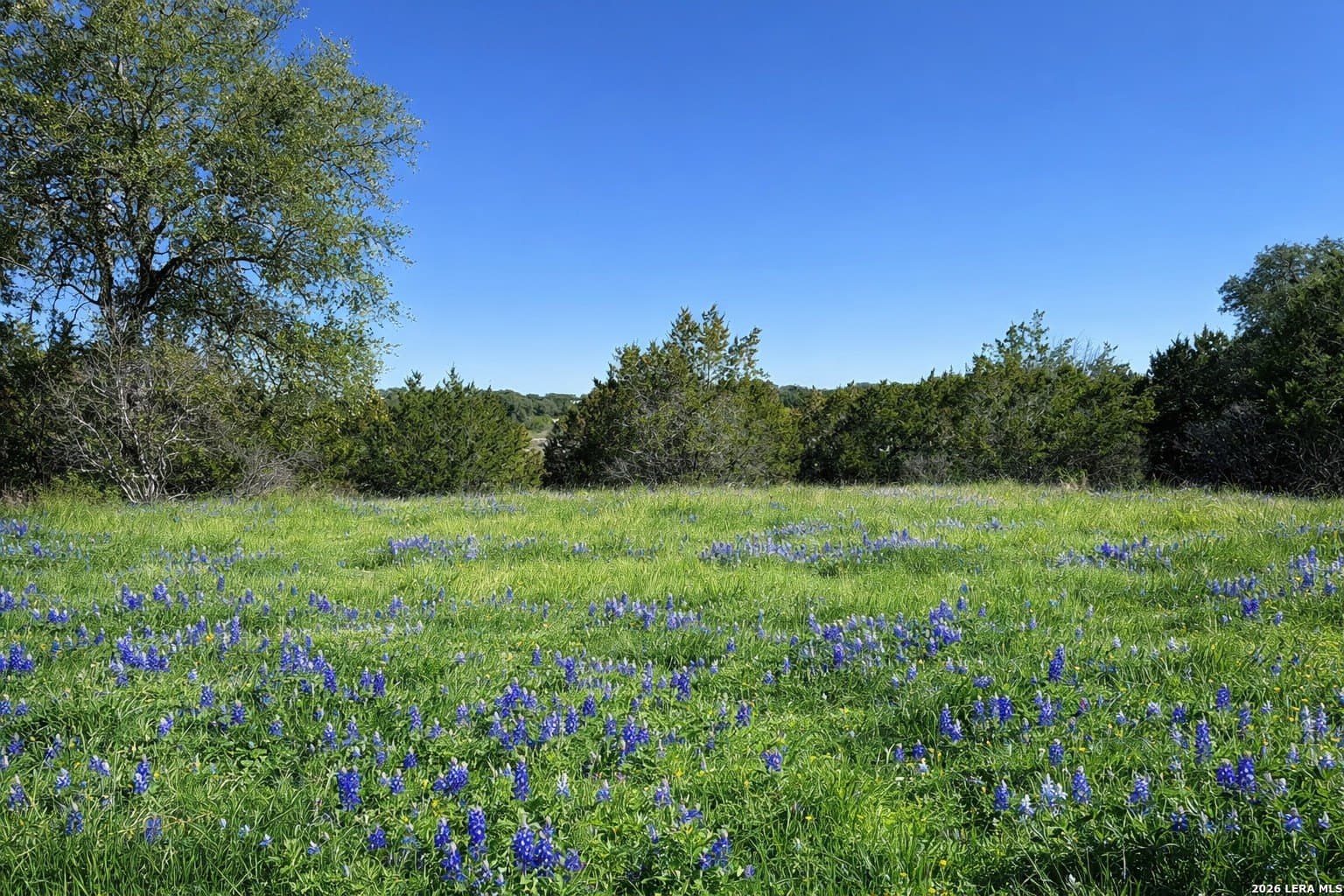 2.01 acres in Bandera County gallery image 3