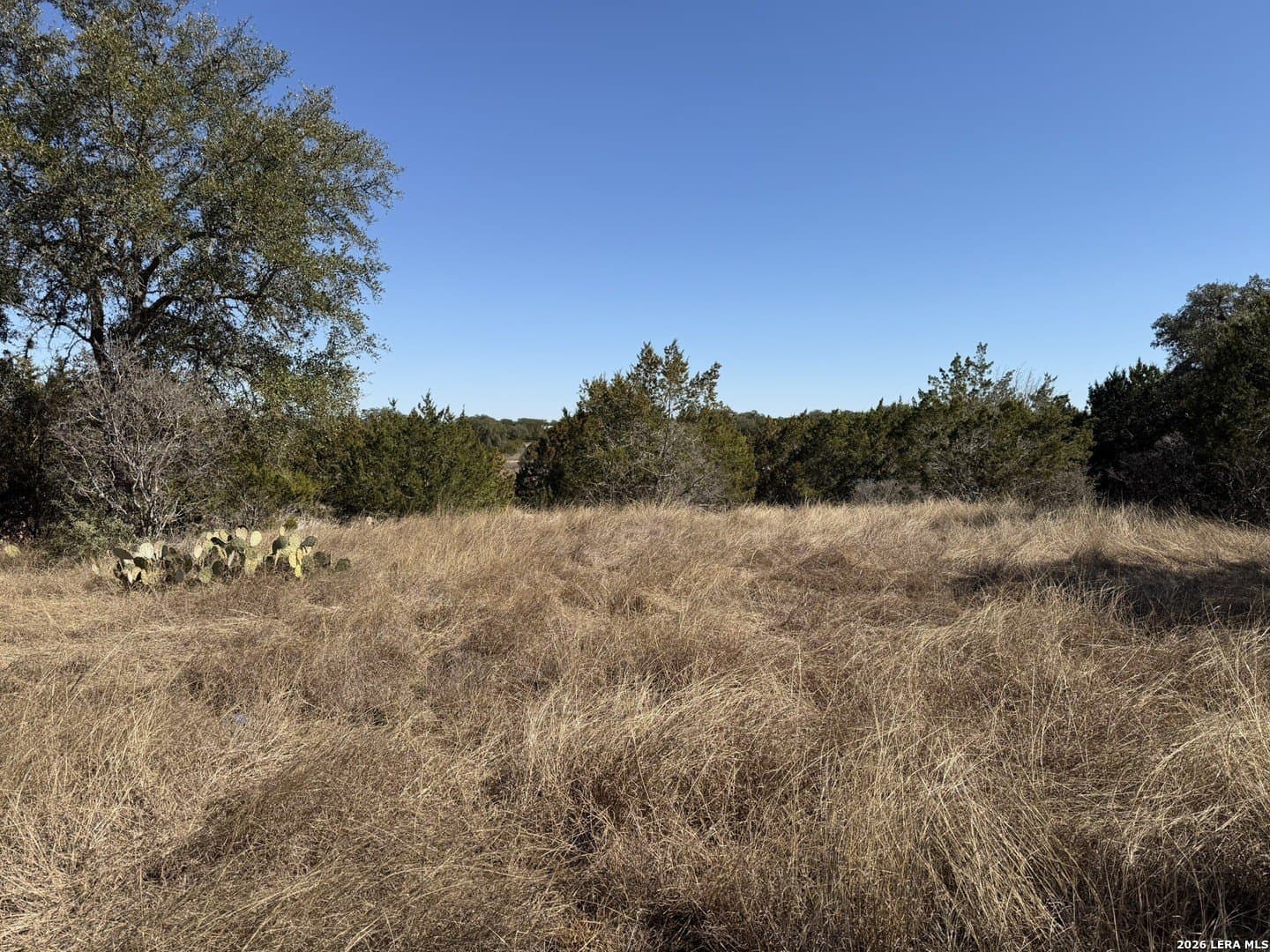 2.01 acres in Bandera County gallery image 4