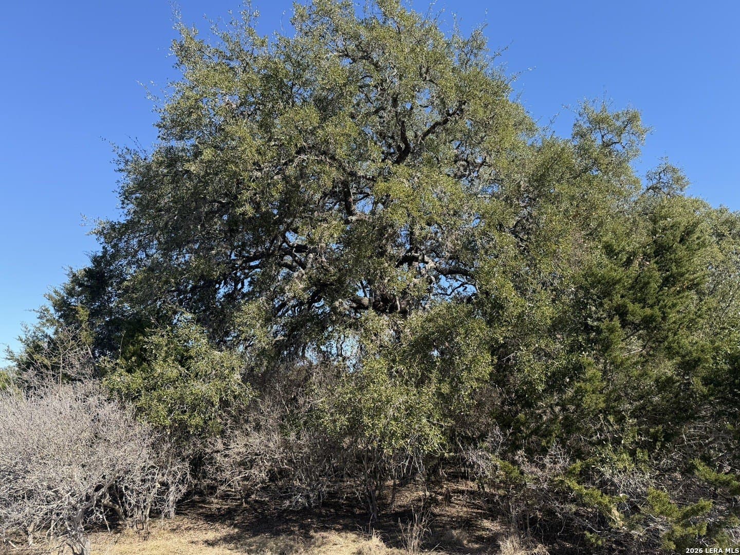 2.01 acres in Bandera County - photo 7