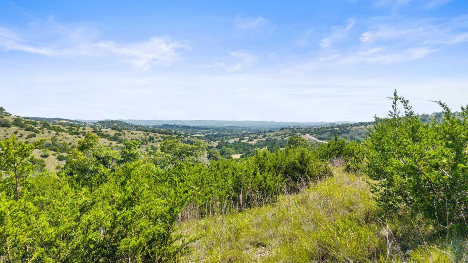 8.3 acres in Blanco County - photo 17