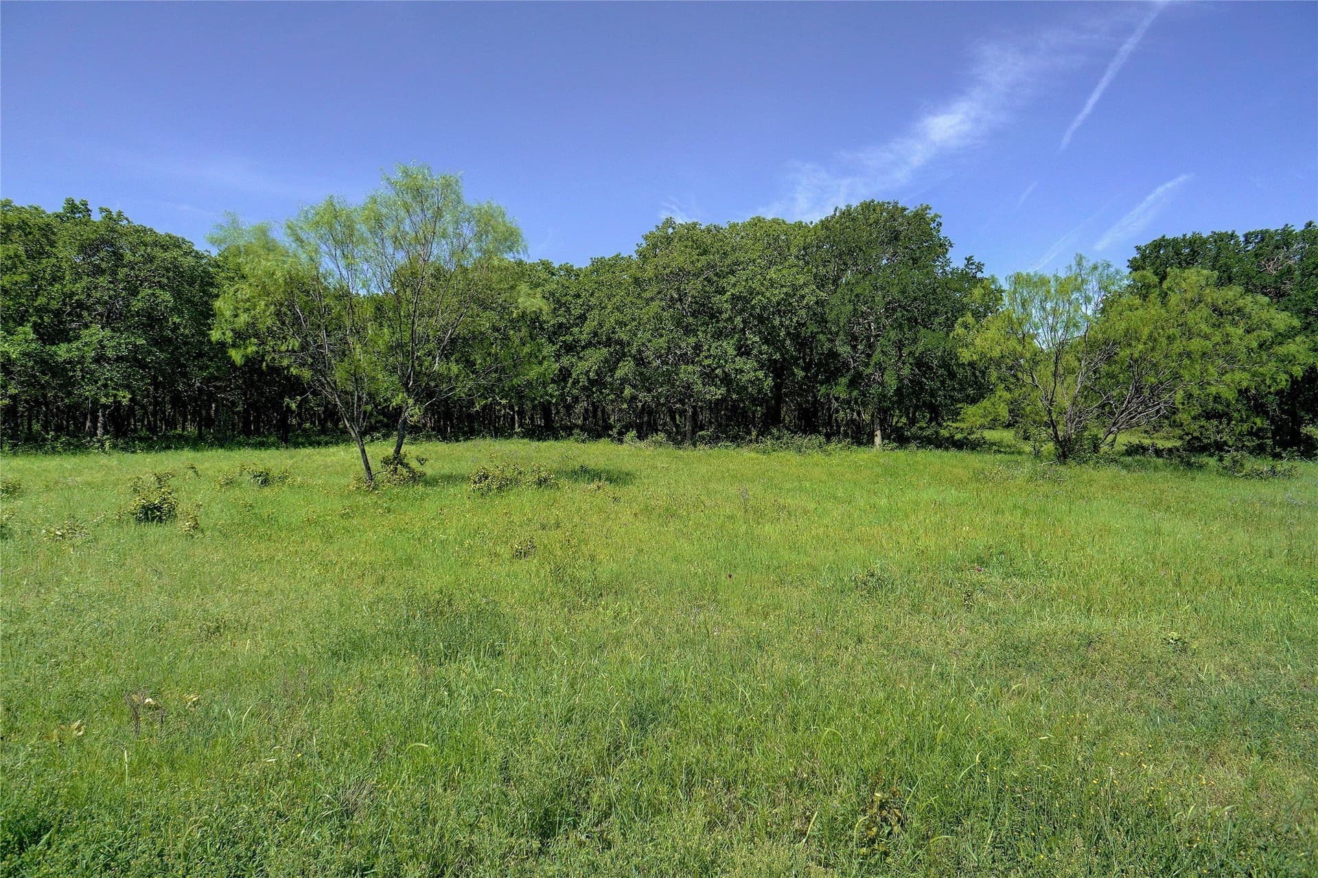 20.93 acres in Wise County - photo 2
