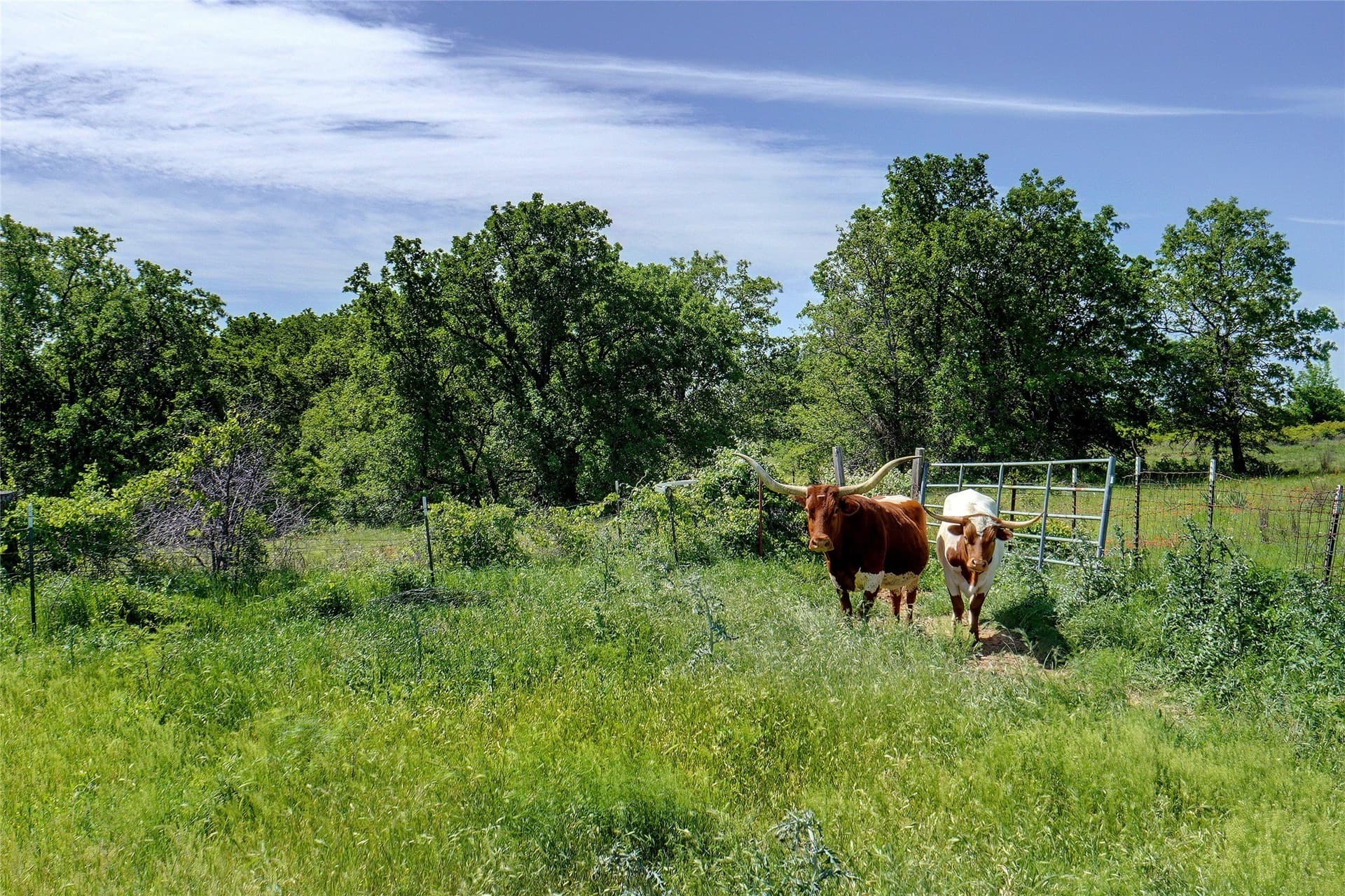 20.93 acres in Wise County - photo 7