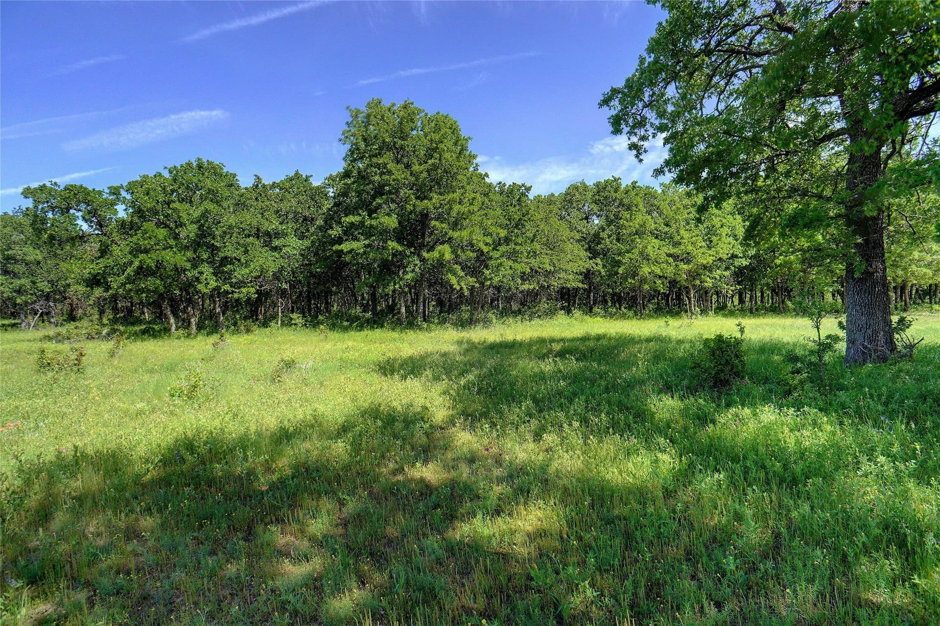20.93 acres in Wise County - photo 4