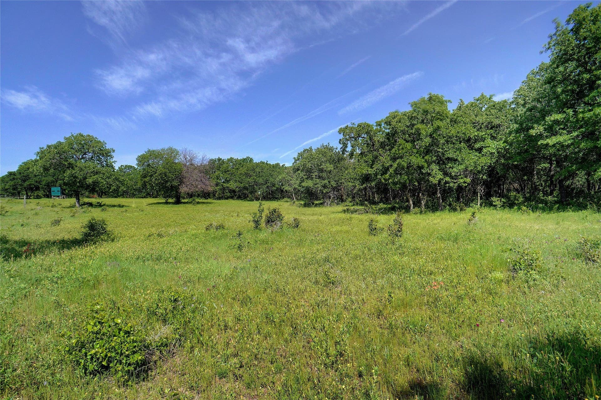 20.93 acres in Wise County - photo 5