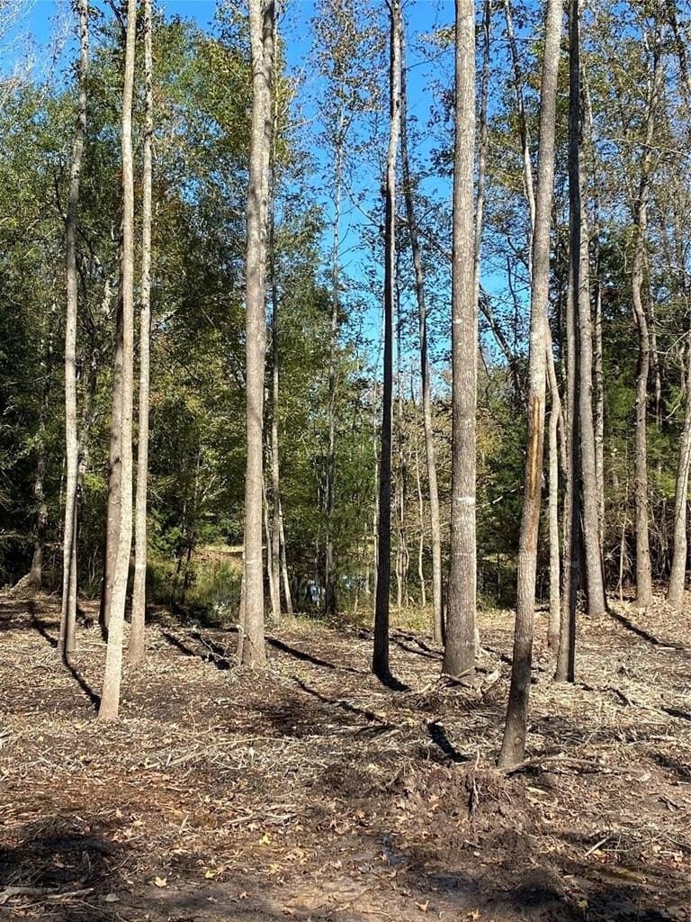 5.48 acres in Henderson County featured view