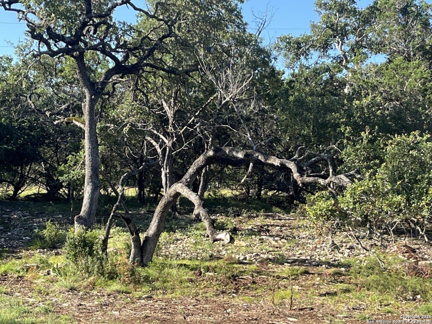 5.2 acres in Comal County - photo 18