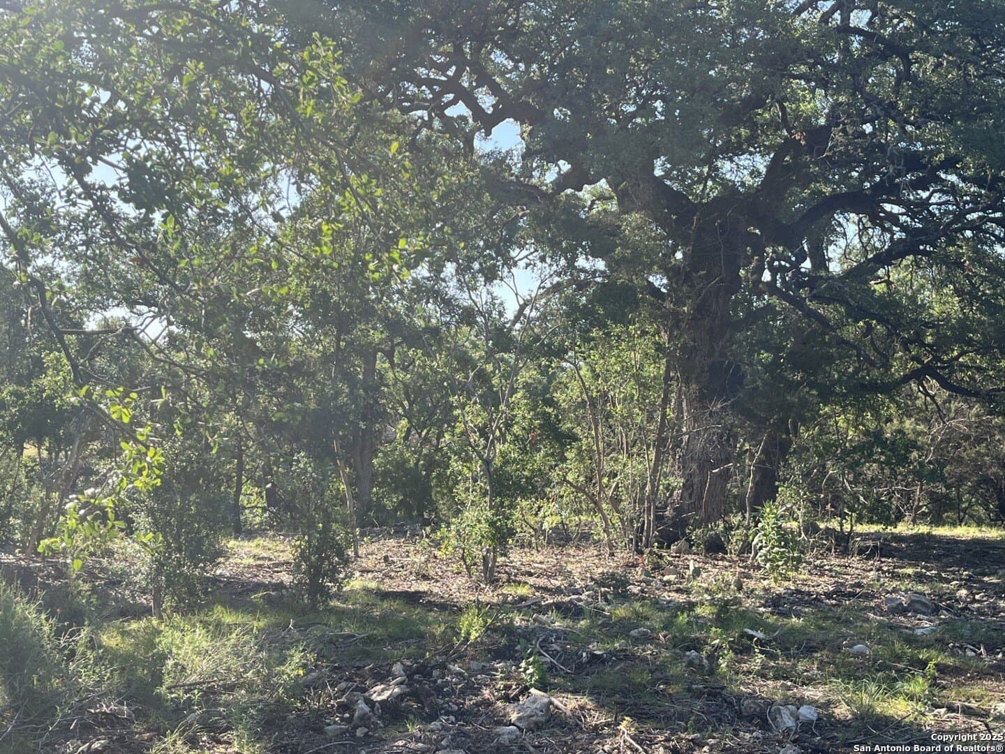 5.2 acres in Comal County - photo 21