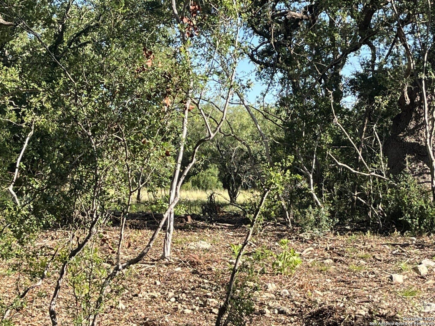 5.2 acres in Comal County - photo 13